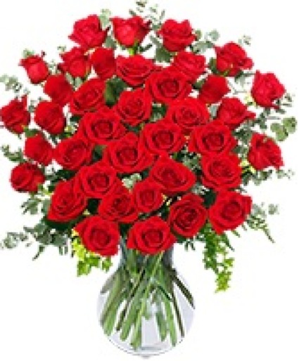 36 Ravishing Roses Red Rose Arrangement