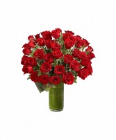 36 red roses 