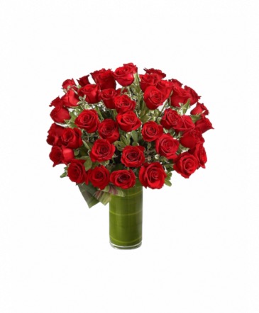 36 red roses  in Falls Church, VA | Geno's Flowers