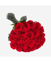 36 red roses black paper  