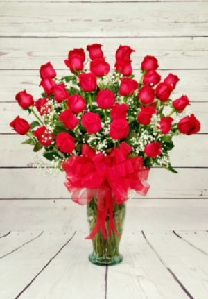 36 Red Roses In A Vase 