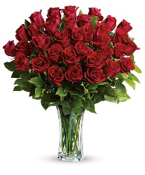 36 Romantic Red Red Roses  