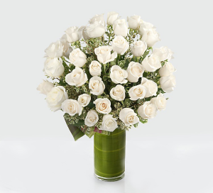 36 white roses 