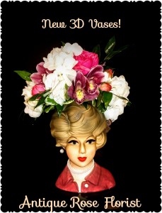 3D Lady