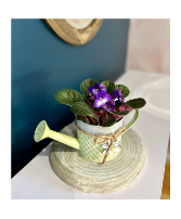 4" Blooming Plant in Watering Can Planter 