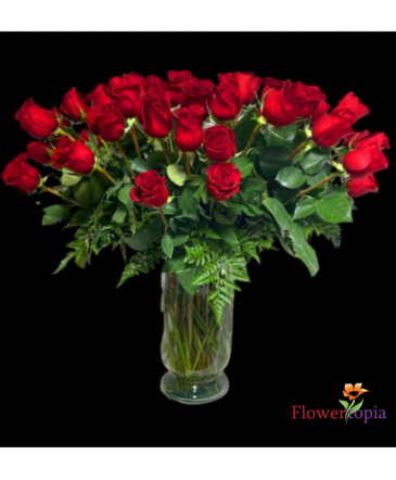 4 Docenas de Rosas Rojas Elige el Color Para de tu Arreglo in Miami, FL | FLOWERTOPIA