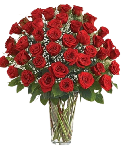 4 dozen red roses and babies breath fresh floral