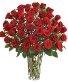 4 dozen red roses and babies breath fresh floral