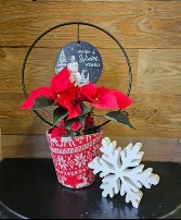 4" Poinsettia with Holiday Sentiment 