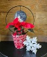 4" Poinsettia with Holiday Sentiment 