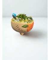 4" Round Succulent DishGarden In Happy Dish Succulent