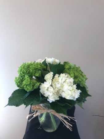 4 stems hydragea summer