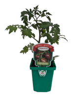 4" Vegetables 