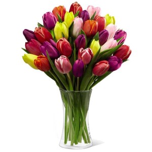 30 Assorted Tulips