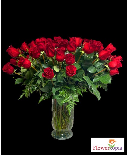 50 Premium Roses in a Vase Best Seller!