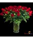 4 Dozen Red  Roses / SOLD OUT Pick The Color Arrangement