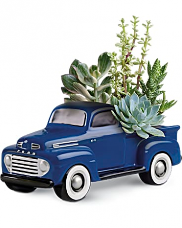 48 Ford Pickup Succulent Garden Blooms for him