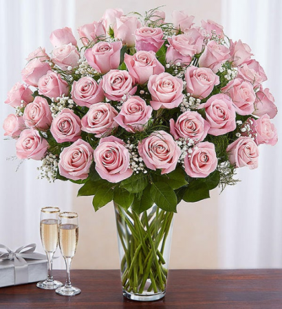 48 Pink Roses Rose Vase