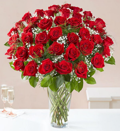 48 Red Roses Rose Vase