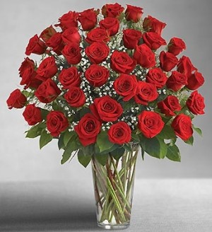 48 Red Roses Also Available in Pink, Hot Pink, Yellow, Orange,  White & Lavender