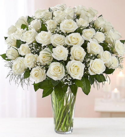 48 White Roses Rose Vase