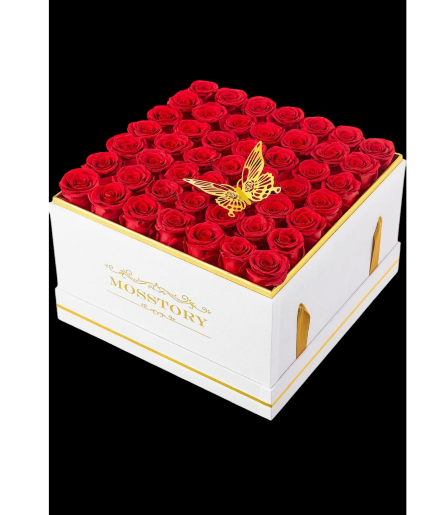 49 Red Forever Roses in velvet box  Valentine Forever Roses