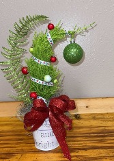 4in Lemon Cypress Grinch tree  