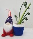 4th of July Gnome With Frizzle Sizzle plant 