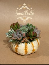 4'X4' Pumpchkin Succulent Design   