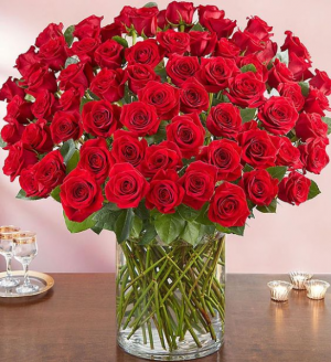 5 dzLove Red roses large roses