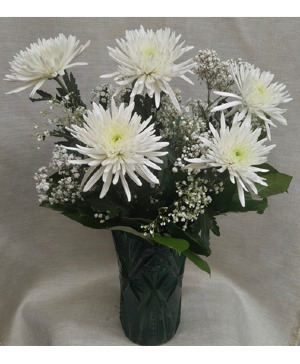 5 SPIDER MUMS WITH BABY'S BREATH $30 Option