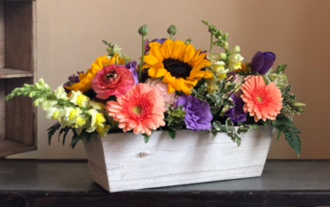 Cottage flower box   in Pawling, NY | PARRINO'S FLORIST