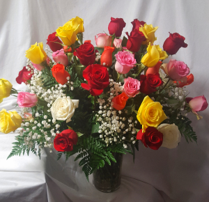 50 years old? 50th anniversary? 50 mixed roses  Arranged in a vase with baby's breath!
