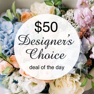 $50 deal of the day in Osoyoos, BC | POLKA DOT DOOR $50 deal of the day in Osoyoos, BC | POLKA DOT DOOR
