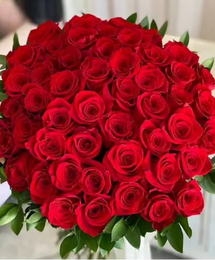 50 Premium Red Roses Wrapped 