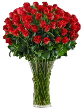 50 Red Rose Arrangement 