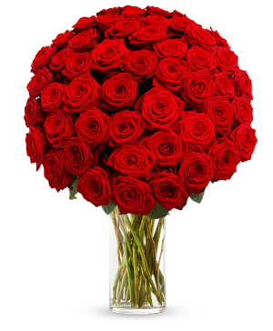 50 Red Roses 