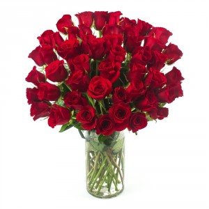 50 Red Roses in a Vase by Enchanted Florist of Cape Coral