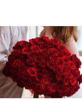 500 Red Roses Roses