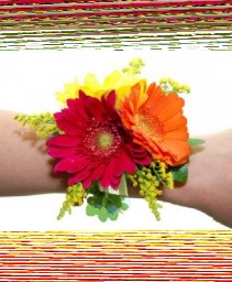 #53 Mixed Gerber Daisy Corsage Fresh Flowers