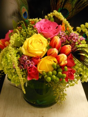 Floraliscious EN-3