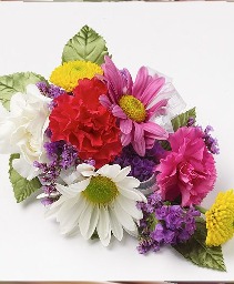 #57 Bright Mix Corsage Fresh Flowers