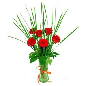 6 Birthday Roses vase
