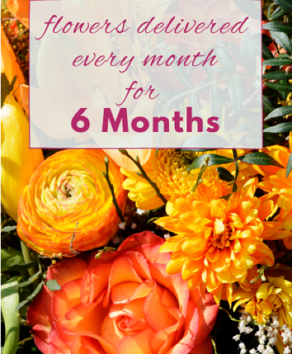 6 Month Flower Subscription 