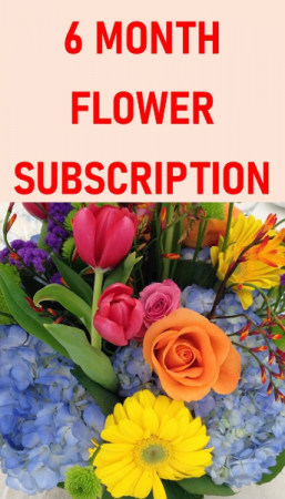 6 Month Flower Subscription Service in Coral Springs, FL | DARBY'S FLORIST 6 Month Flower Subscription Service in Coral Springs, FL | DARBY'S FLORIST