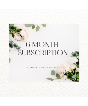 6 Month subscription 