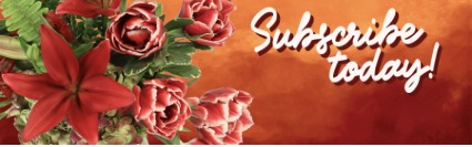 6 Month Subscription Floral Subscription