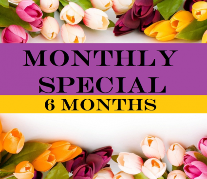6 Months Subscription  Floral Arrangement