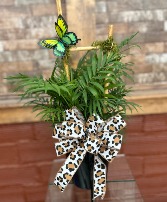 6" Neathe Bella Palm & Trellis 