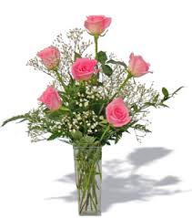 6 PINK ROSES